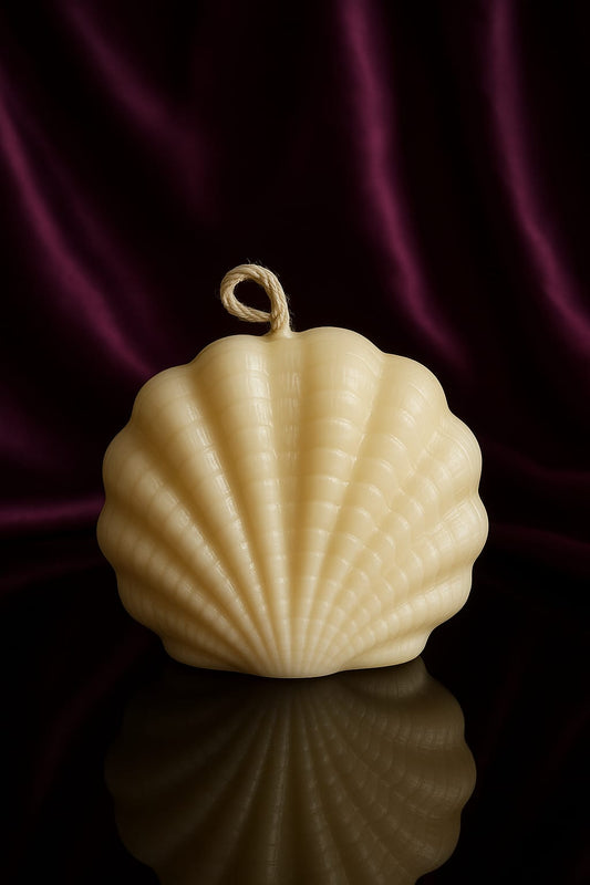 Sea Shell Candle